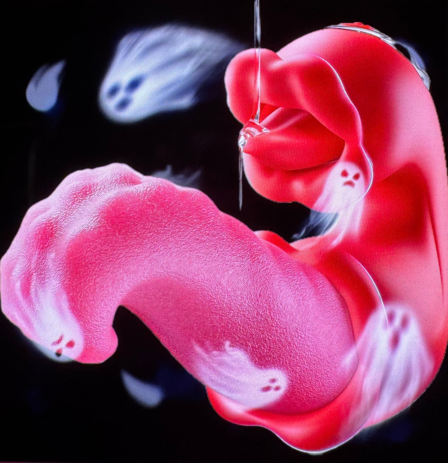 G-Spot & Clitoral Vibrator – Battery-Powered Tongue Stimulator for Women, Medical Silicone Dildo Massager